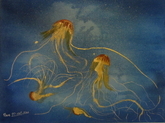 Dancing Jelly Fish