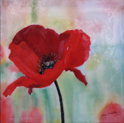 Red Poppy