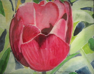 Red Tulip 2